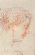Peter Paul Rubens Yierdefu accept the Closthing Spain oil painting artist
